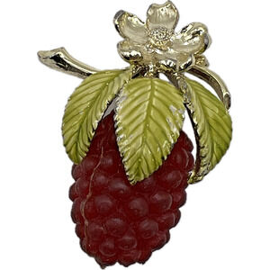 Rare Vintage Fruit Brooch Rubber Raspberry Flower Blossom Enamel Costume Jewelry